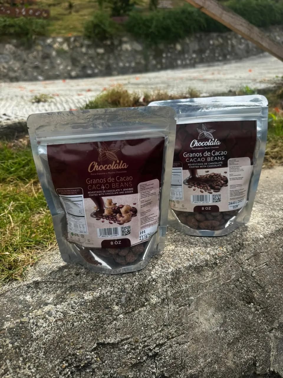 Chocolate-Covered Cacao Beans — With Ginger 2