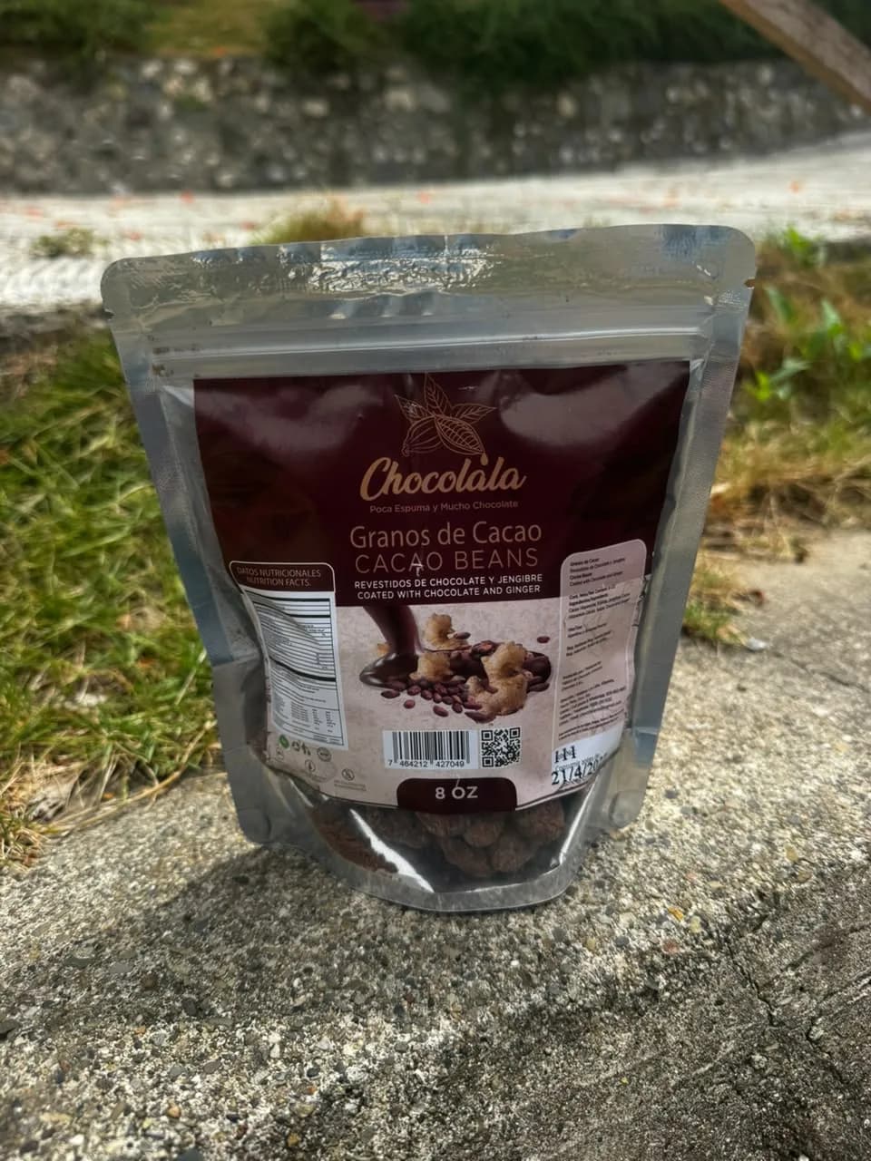 Chocolate-Covered Cacao Beans — With Ginger 1