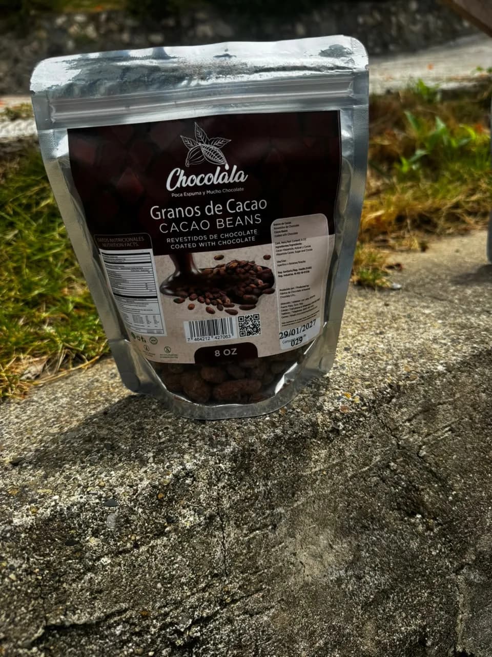 Chocolate-Covered Cacao Beans — Without Ginger 1