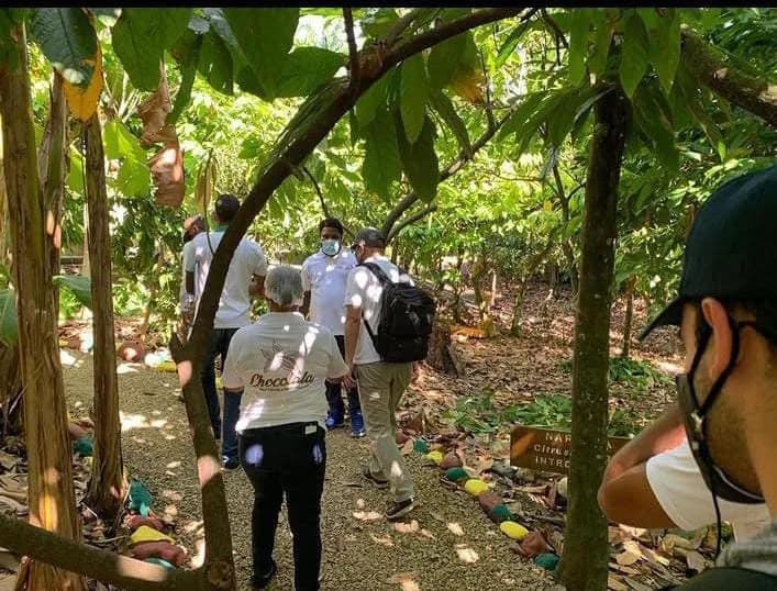 Del Árbol a tu Corazón 1