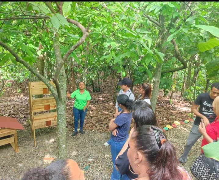 From Tree to Heart 4