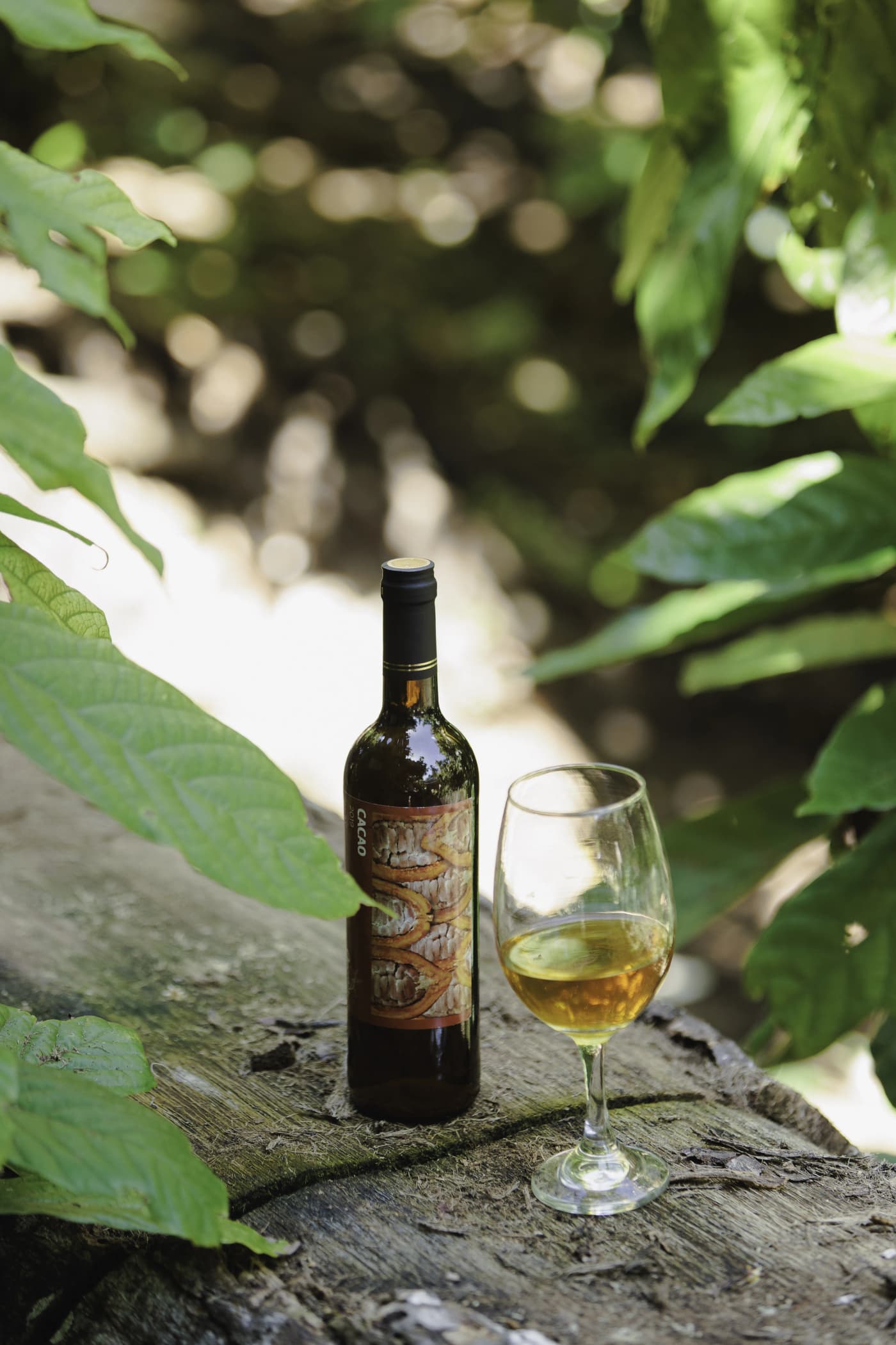 Cacao Wine 1