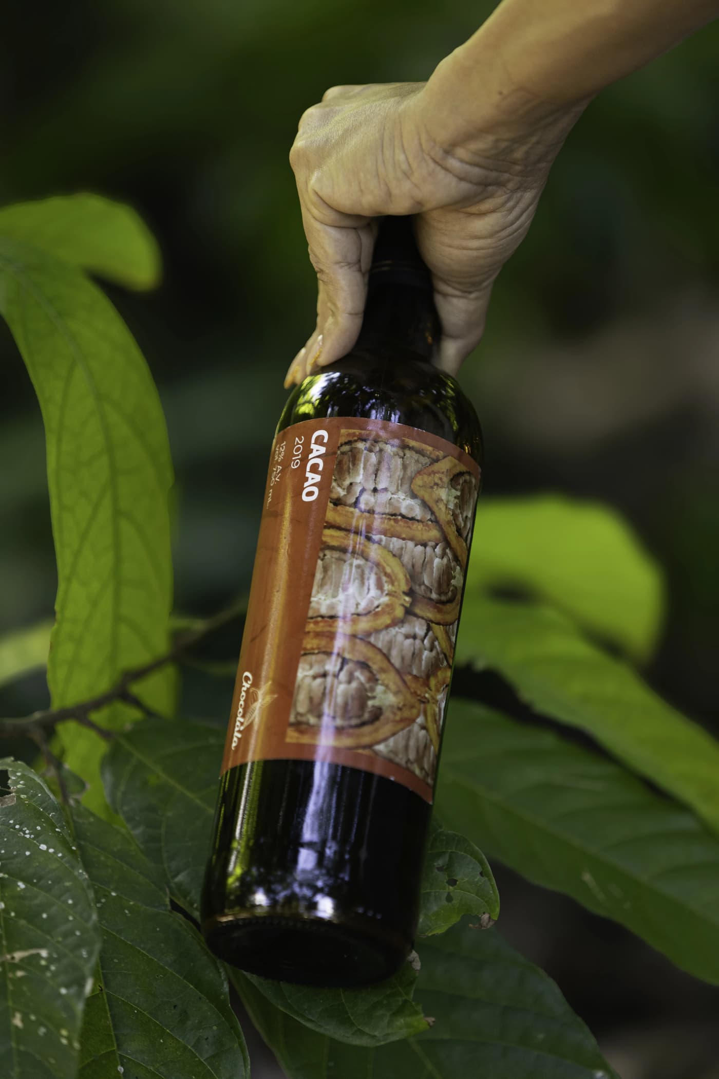 Cacao Wine 2