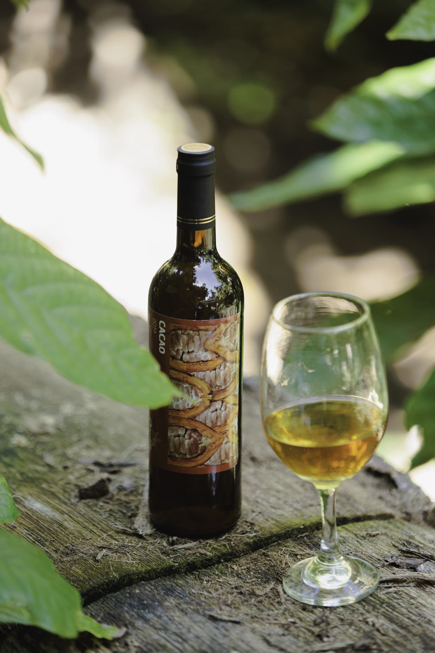 Vino de Cacao 4