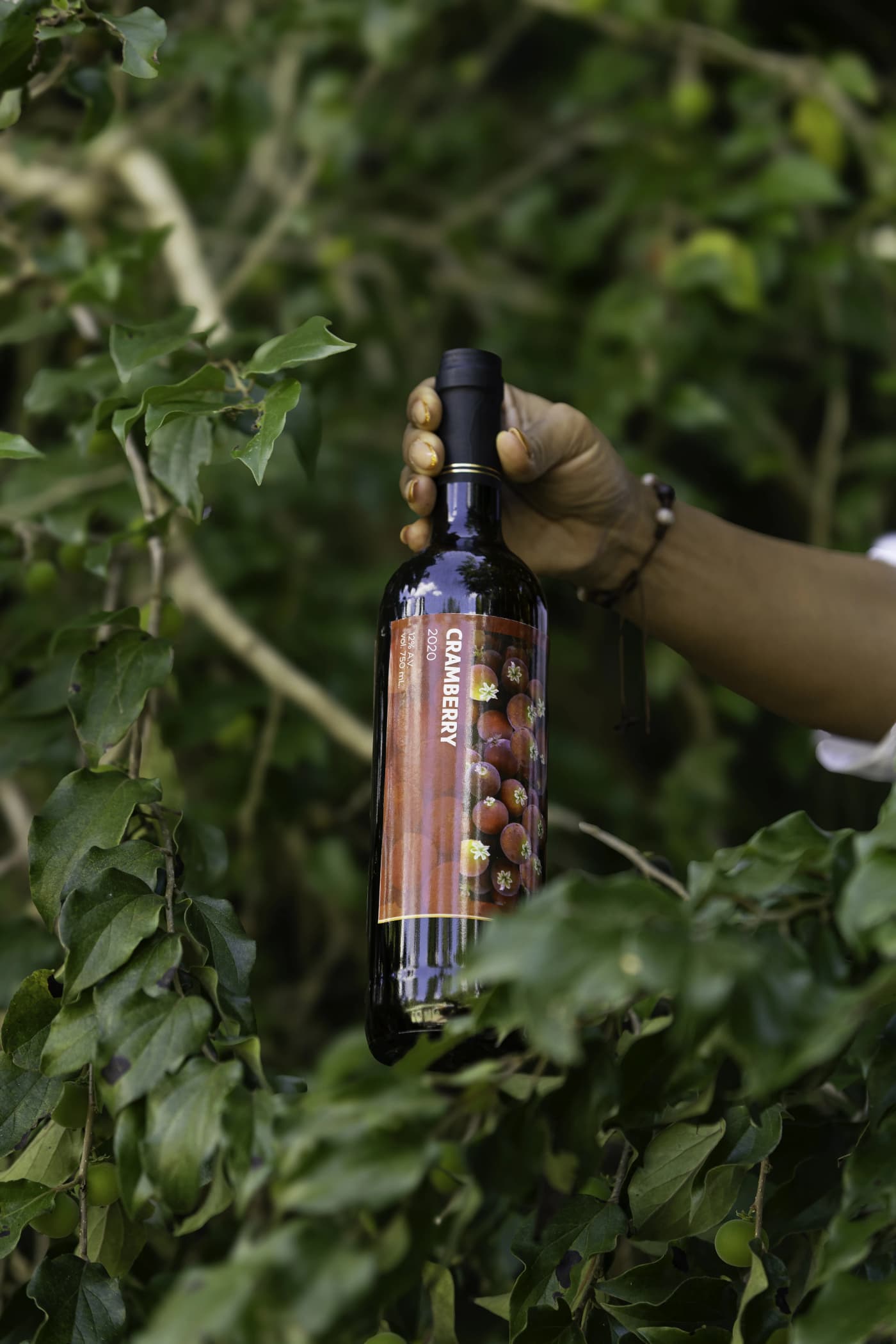 Cramberry Wine 1