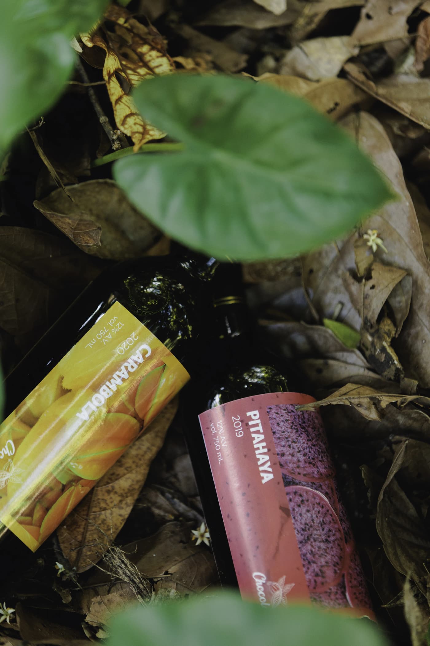 Starfruit Wine 4