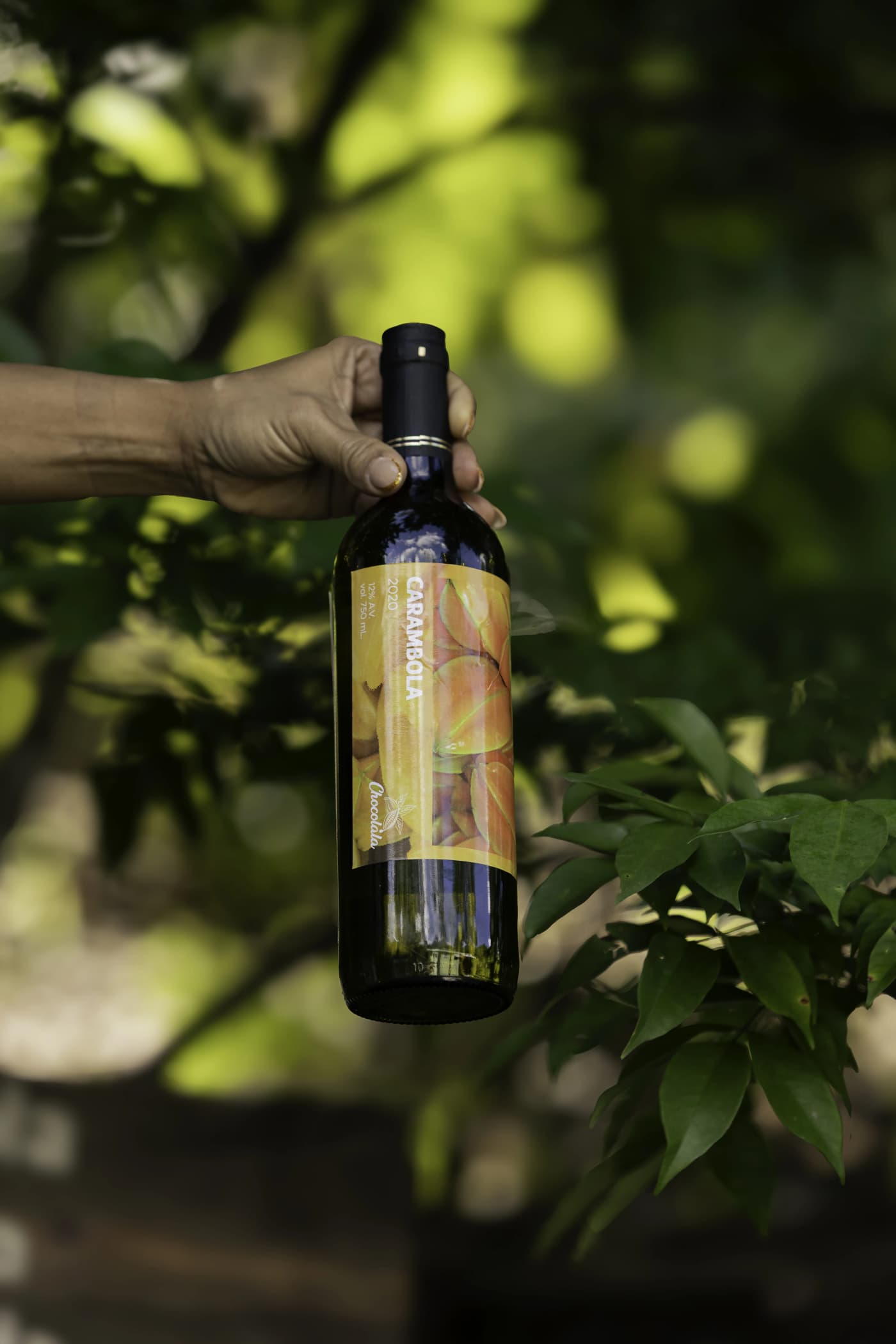 Vino de Carambola 1