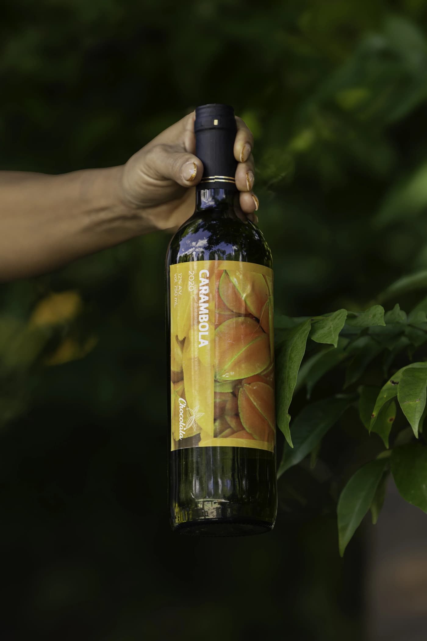 Starfruit Wine 2