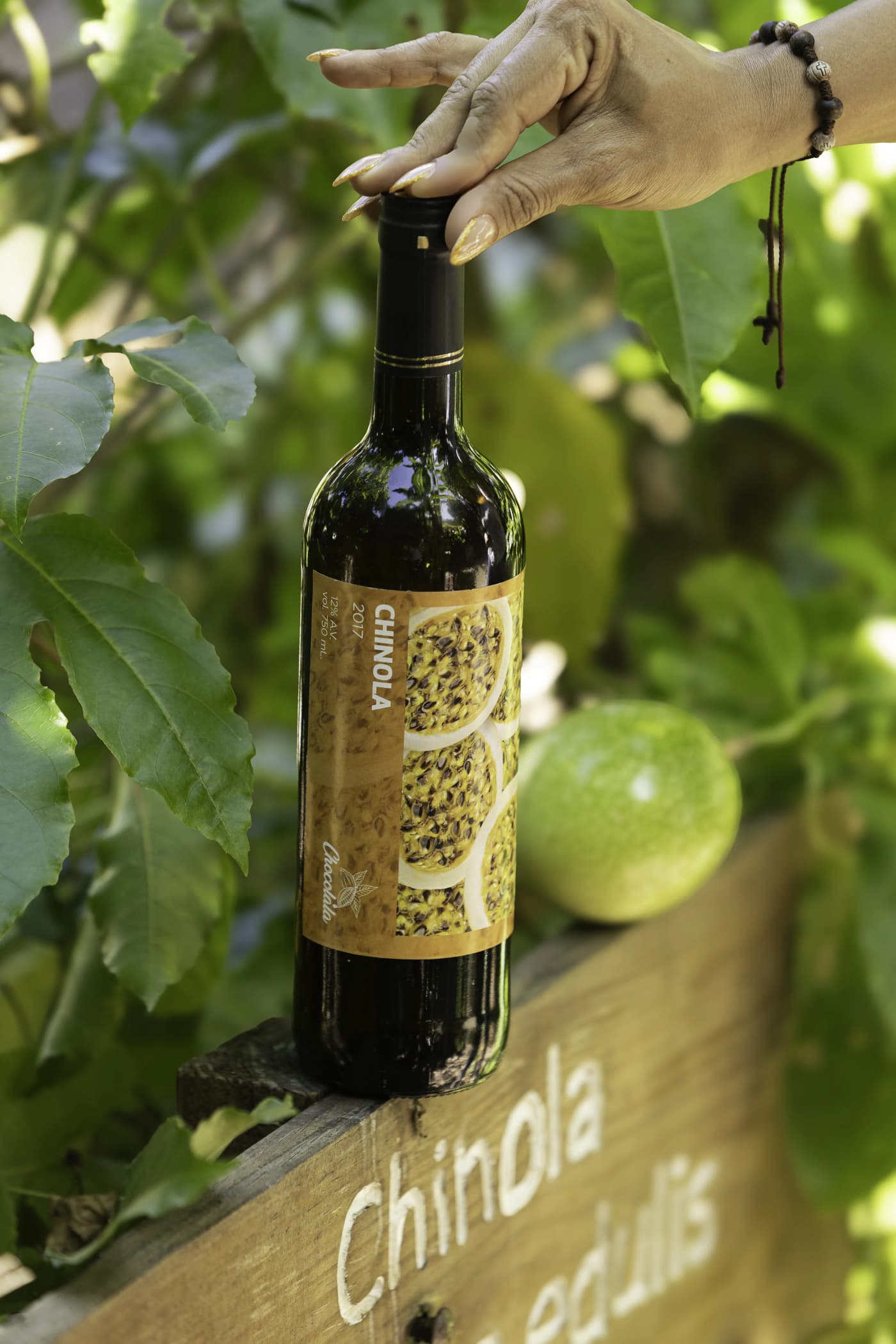 Vino de Chinola 1