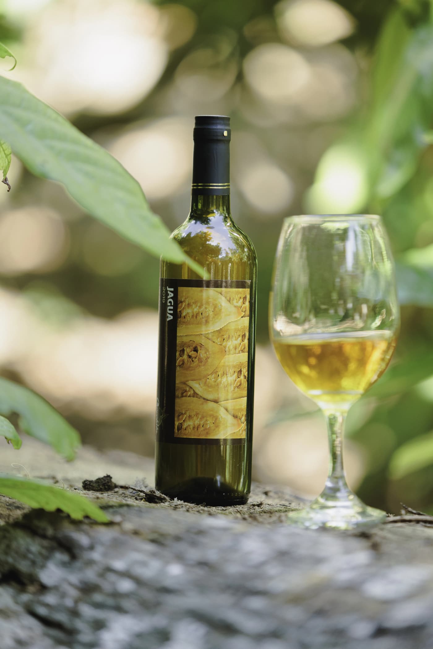 Jagua Wine 1