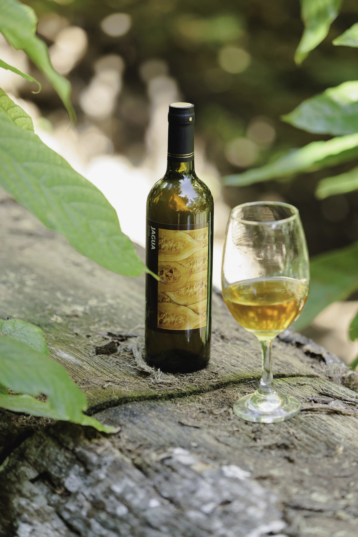 Vino de Jagua 2