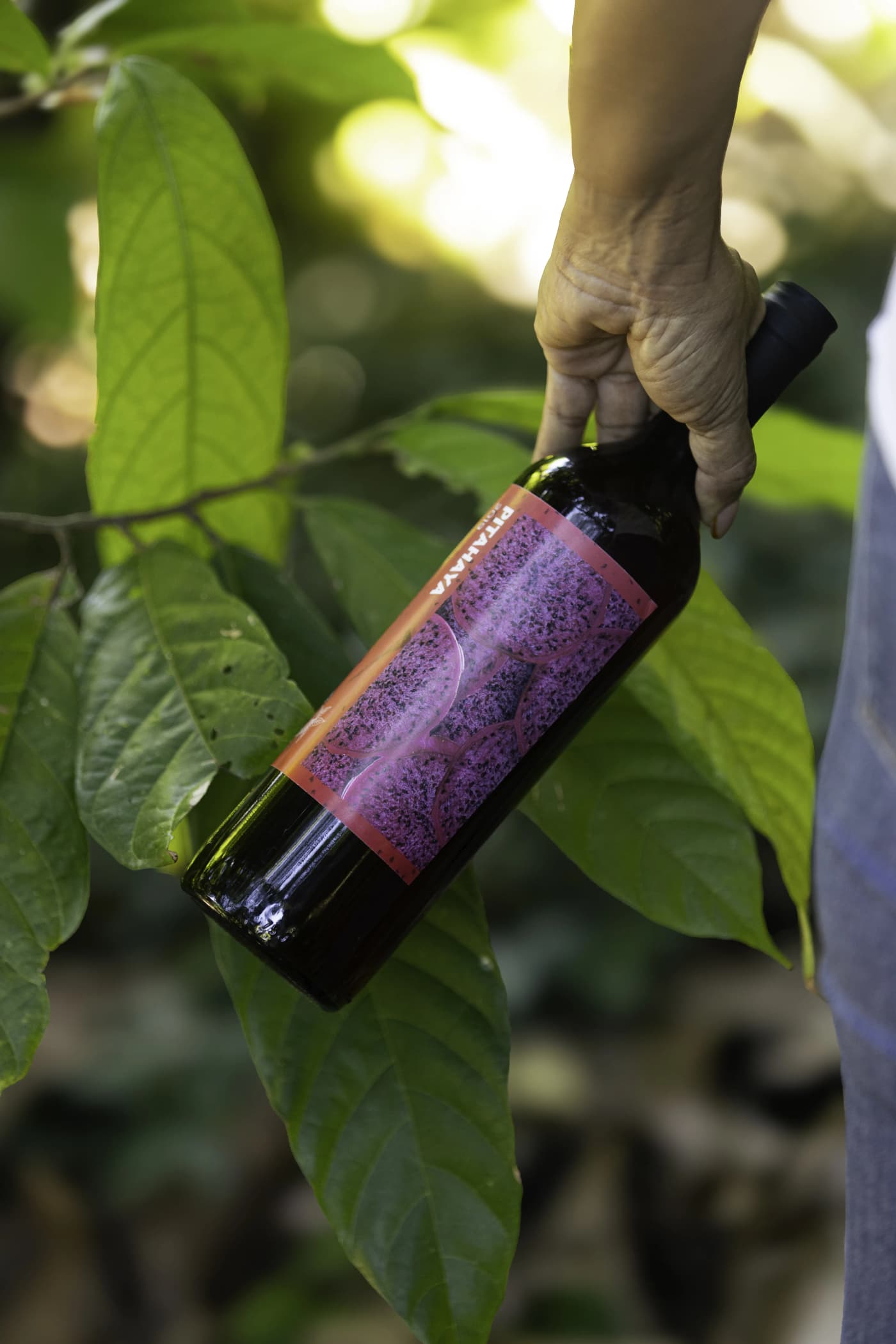 Dragon Fruit Wine 1