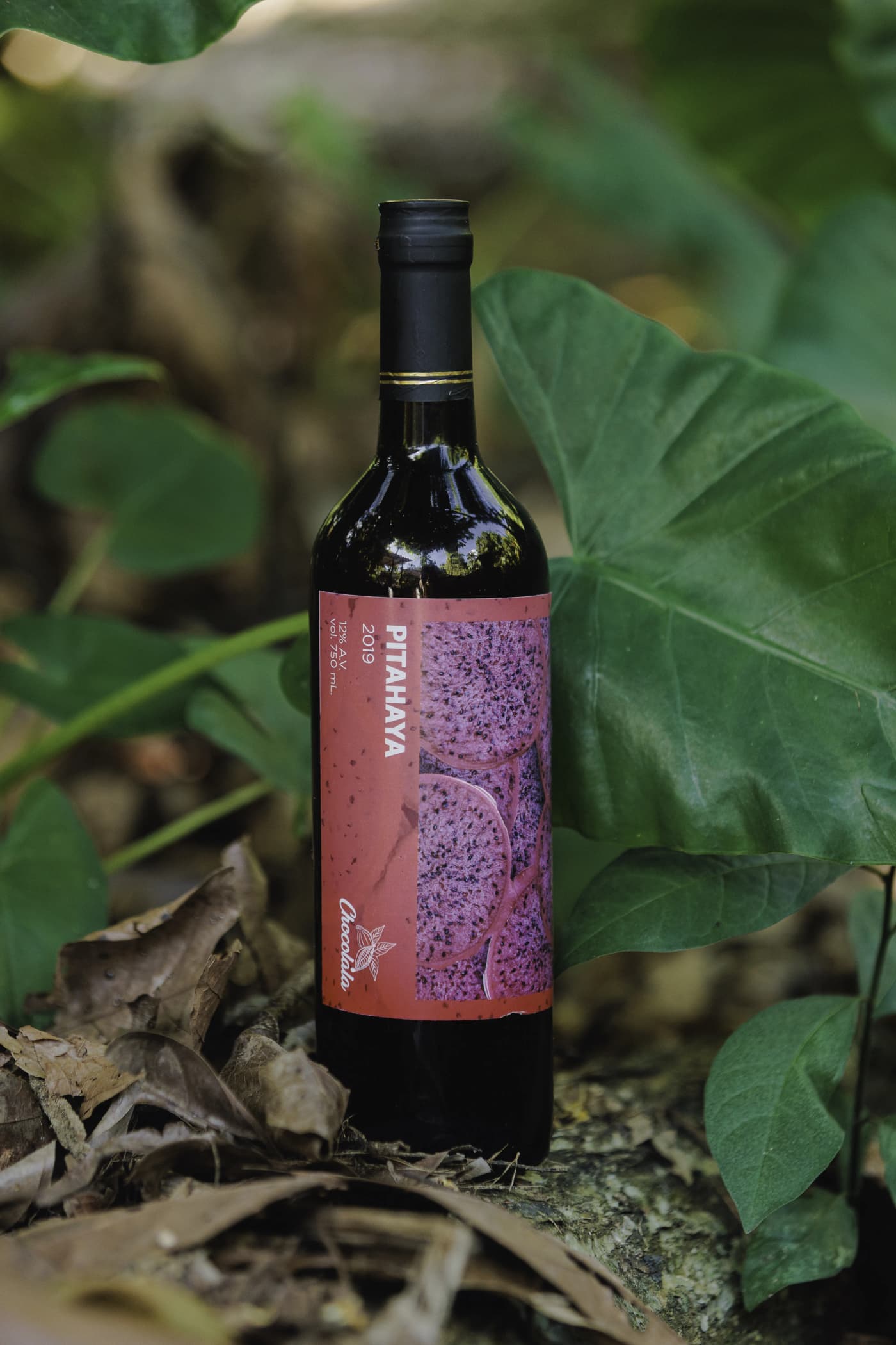 Dragon Fruit Wine 2