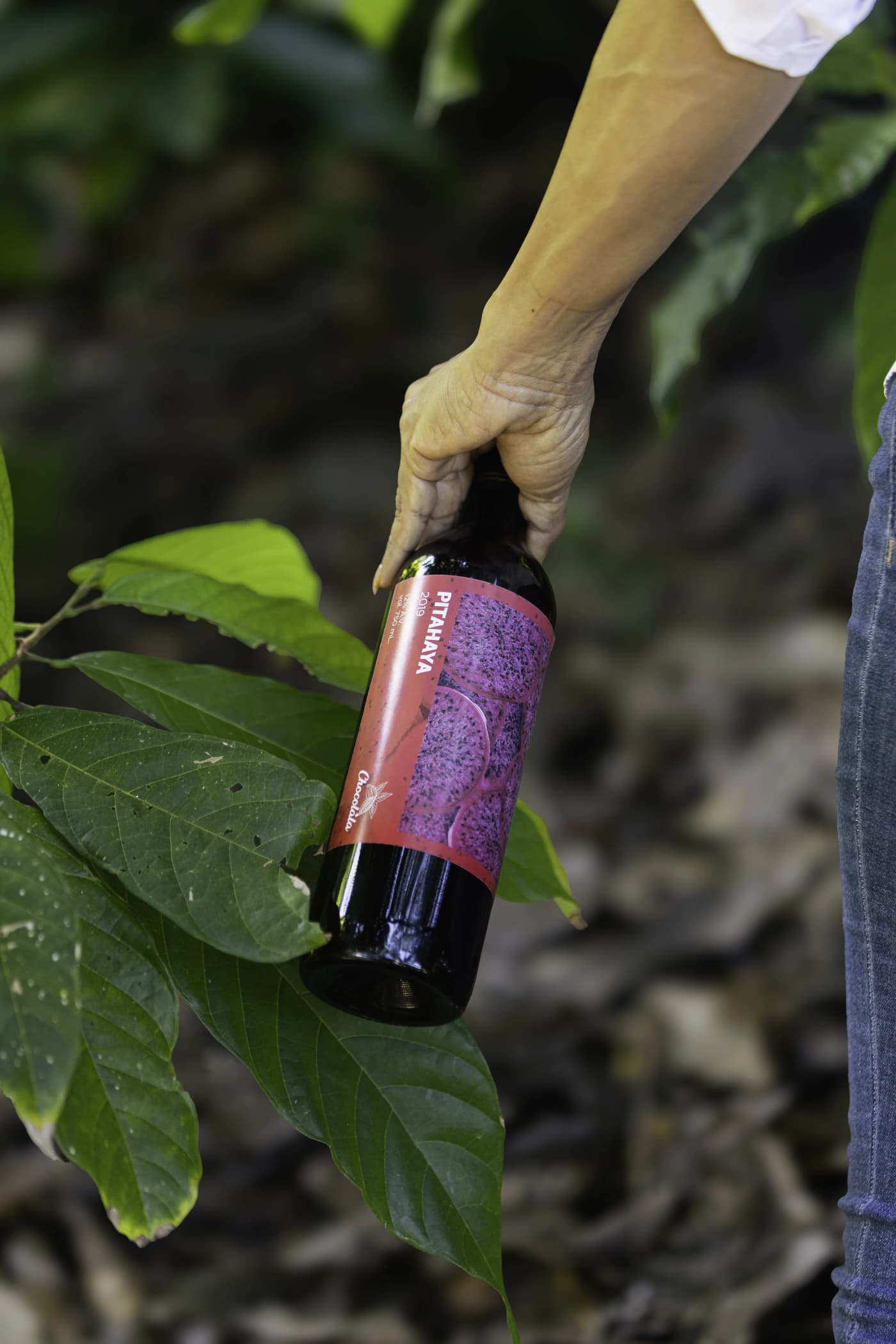 Dragon Fruit Wine 3